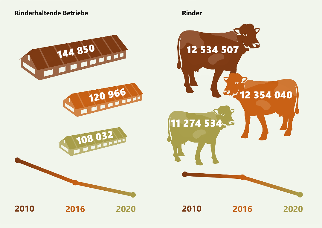 Entwicklung der rinderhaltenden Betriebe und Rinderbestände in Deutschland 2010 bis 2020