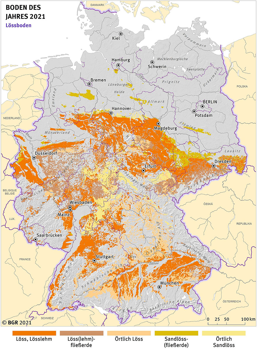 Verbreitung von Löss und Löss-Derivaten in Deutschland 