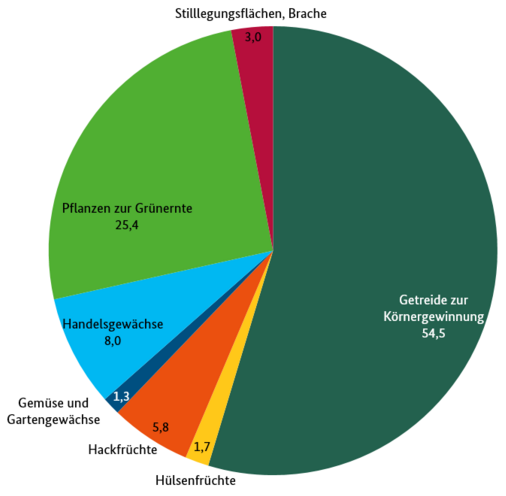 Anteile der Hauptgruppen des Anbaus am Ackerland in Deutschland 2019