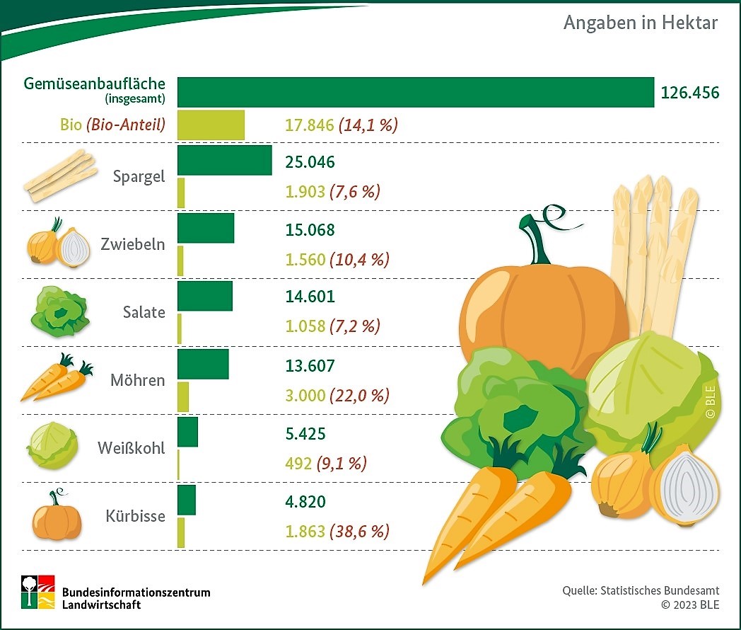 Gemüseanbau in Deutschland 2020 (Angaben in Hektar)