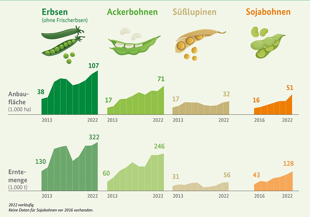 Anbaufläche und Erntemenge von Hülsenfrüchten in Deutschland im Zeitraum 2013 bis 2022