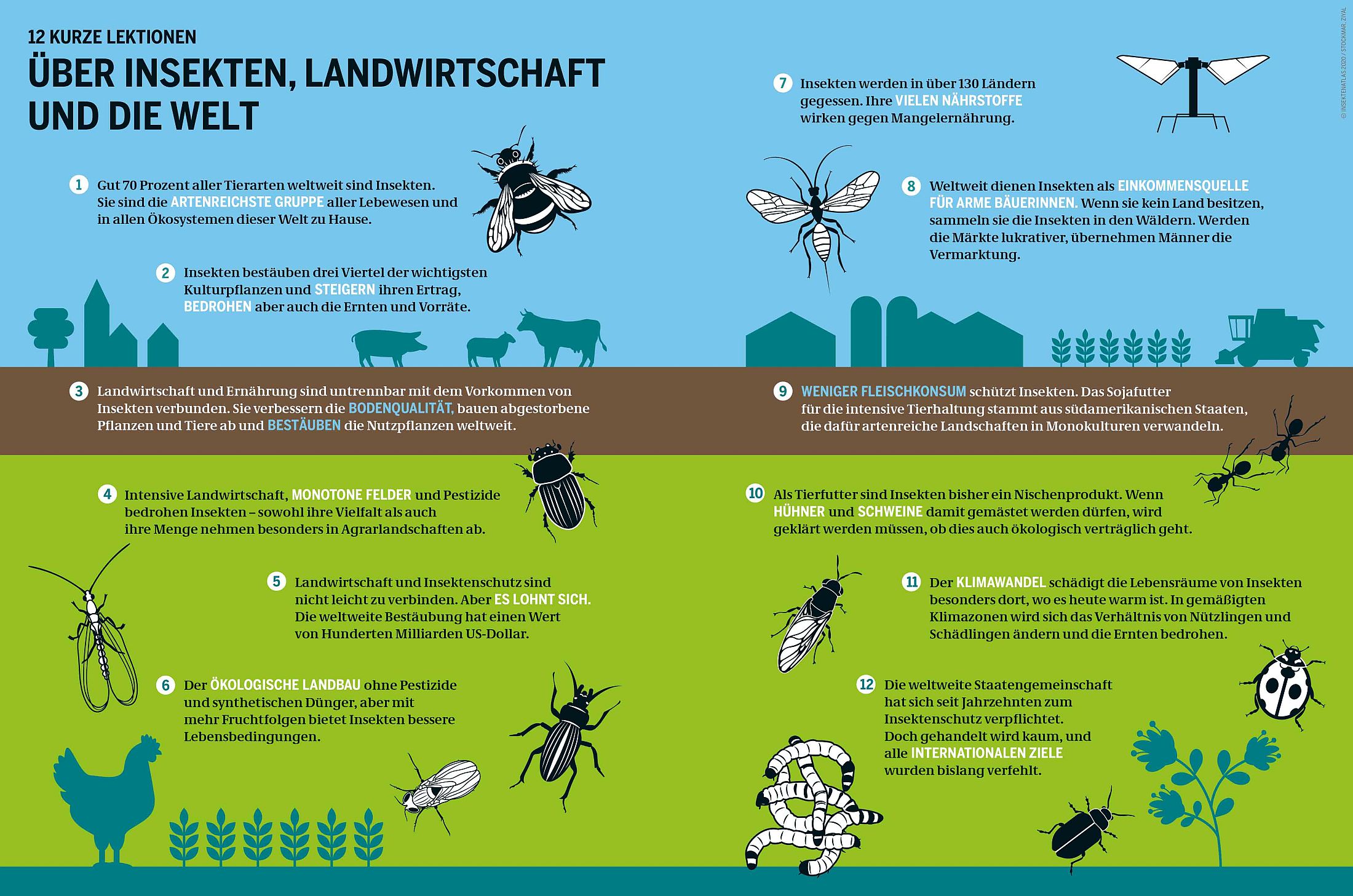 12 kurze Lektionen über Insekten, Landwirtschaft und die Welt