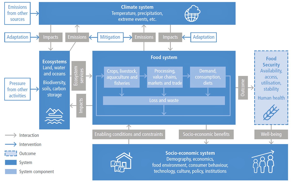 Verflechtungen zwischen Klimasystem, Nahrungsmittelsystem, Ökosystemen (Land, Wasser und Ozeane) und sozioökonomischem System