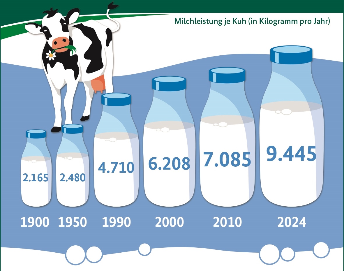 Wie viel Milch gibt eine Kuh?