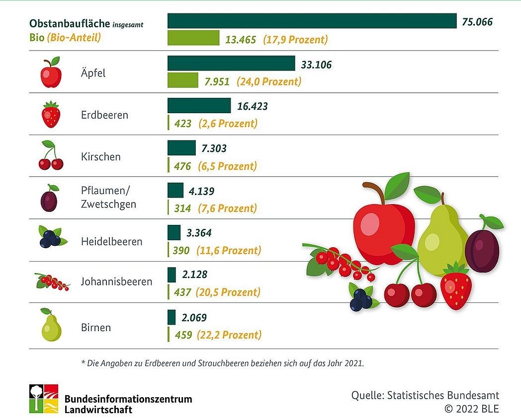 Obstanbau in Deutschland 2022 (in Hektar)