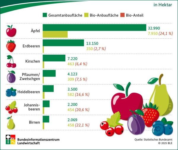 Obstanbau in Deutschland 2024 (in Hektar)